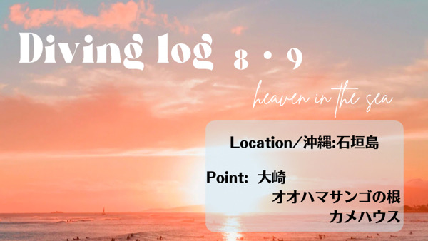 ダイビングLOG/石垣島：大崎/オオハマサンゴの根/カメハウス