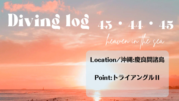 ダイビングLOG｜沖縄：慶良間諸島｜トライアングルⅡ